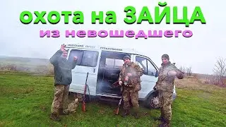 Охота на зайца! Не успел вовремя выпустить видео. Заяц где то есть))