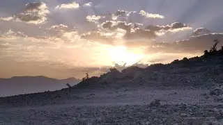 BAZI+FISCHKOPP im OMAN 2025 - _13_ Ruinen, Al Hamra, Felsgravuren und der höchste Berg im Oman
