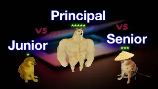 Seniority Levels in Software Engineering (Junior vs. Senior vs. Principal)
