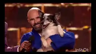 It's im-paw-ssible not to love Adrian Stoica - dog coach and Hurricane. 🐾