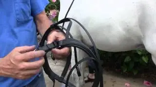 DC Bridleworks Crank Strap Assembly