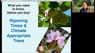 Urban Farm Fruit Tree Program Class 1 2022 - What you need to know before you purchase your trees!