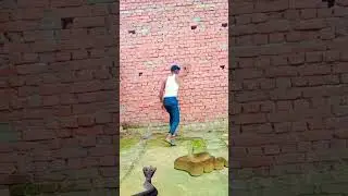 Anaconda snake  majic Life #viral #video #comedy #funny #shorts #youtubeshorts #tiktok #new #best