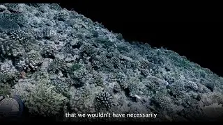 AI in Science: Advancing Coral Reef Conservation with Machine Learning