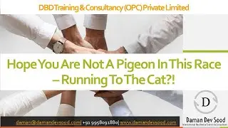 My Top Tips - Are You A Pigeon In This Race - Running To The Cat?