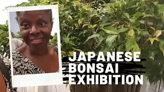 Japanese Bonsai Exhibition - Barbados