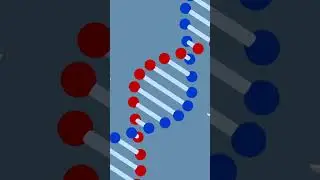 30+ Mind-Blowing Discoveries of 2025 (Confirmed by Scientists!)