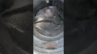 Bosch WAE washing machine || Filthy Bosch test run&hellip; why would you let it get in such a state!!