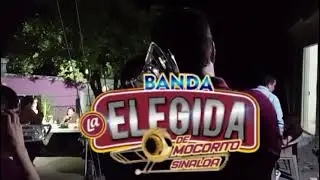 Ilusi&oacute;n  98 LOMAS BLANKAS MOCORITO sinaloa como ueso SHAYAN SHUDADA COMO La CALAVASA es 