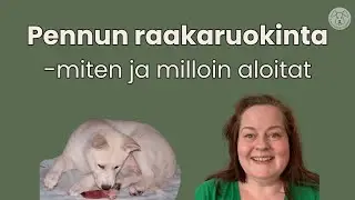 Koiranpennun raakaruokinta – hyödyt, riskit ja aloittamisen tärkeät perusasiat