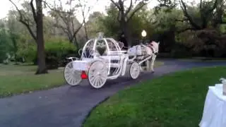 Bridal carriage presentation into Larimore House's Wedding Garden
