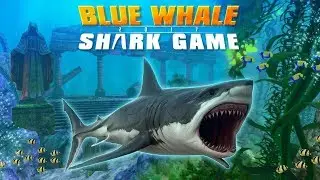 Blue Whale 2017 : Shark Game - Android Gameplay Full HD (By Integer Games)