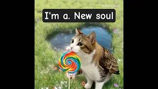 Meowl come caramelo #meowl #owlcat #cat #memes #ai