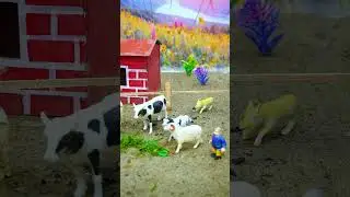 Wise Old Man Saves Animals from the Wolf Attack | Kids TinyVerse