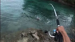 Catching My FIRST Squid in Bermuda! 🦑 | Squid Jig Success