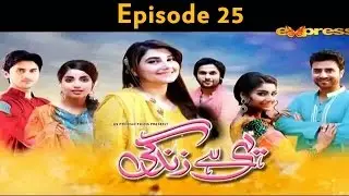 Yehi Hai Zindagi - EP 25