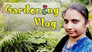 Memu akada ki veltunam🤔 ||kakinada chidiga nursery || fav pesarattu|| Kids tho nenu chesina allari