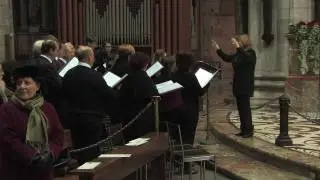 G.Pitoni, Cantate Domino - Ensemble Vocale Lingiardi, Mozzanica