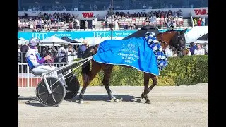 2025 Renwick Farms Dominion Trot 3200M G1 Addington Raceway New Zealand : Gus (2:02:7)
