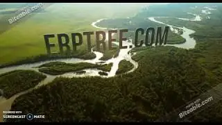 ERPTREE best online Oracle training institute