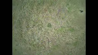 Bicopter Maiden Flight in FPV