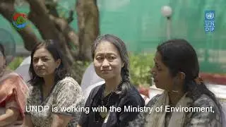 Restoring mangroves in Maharashtra, India