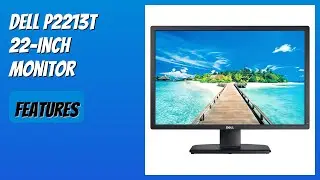 REVIEW (2026): Dell P2213T 22-Inch Monitor. Features