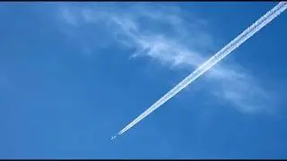 RIOT / LEVEL PLANE