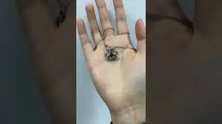 Pet Paw Photo Necklace - Gift For Pet Lovers