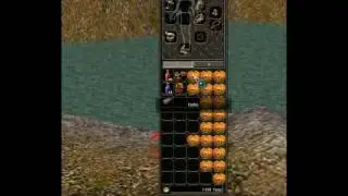 K&uuml;rbisse &ouml;ffnen (45) xD METIN2