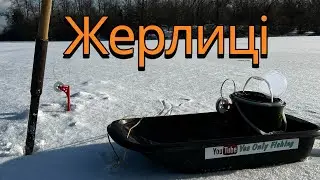 Перевірка жерлиць! Судак! Окунь!