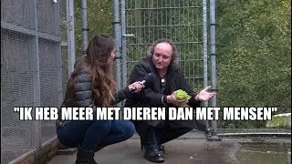Wildopvang Delft staat op omvallen. Wie redt deze dieren?