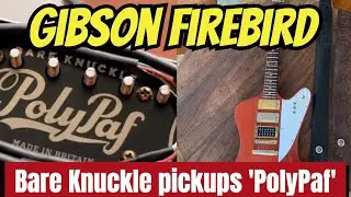 Gibson Firebird with PolyPaf Humbucker | Clean & Overdrive Tone Test (Fender Pro Reverb + Nobels OD)