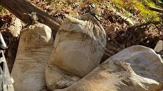 Bank Sample from the Honey Hole!