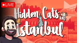 Hidden Cats in Istanbul - Can We Find Them All?