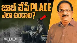 ఎలాంటి ఉద్యోగాలు ఆనందాన్ని ఇస్తాయి, హార్వర్డ్ పరిశోధన ఏం చెప్తోంది? || What jobs make us happiest?||