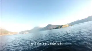 Liten kveite samt speedjigging efter sej.