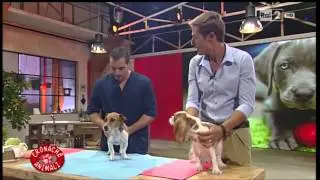 Osteopatia Animale - Walter Martinelli su rai2