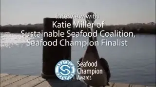 Interview with Seafood Champion finalist Sustainable Seafood Coalition, represented by Katie Miller
