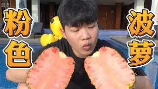 世界上最浪漫的菠萝！里面居然是粉红色的！【天蓬大元帥帥帥】
