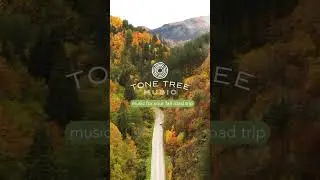 Fall Road Trip Music - Autumn Acoustic Complilation | Tone Tree Music #shorts #compilation