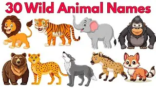 Wild Animals Vocabulary for Kids 🦁 | Learn Animal Names, Sounds & Fun Facts | Happy Hug Time