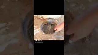 Automatic  water drink  in cow #trending #viral #shorts