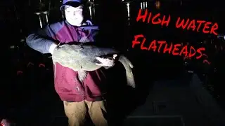 Spring Flathead Catfish in HIGH water! (CRAZY Action)