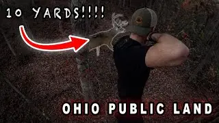 BIG OHIO PUBLIC LAND BUCK AT 1O YARDS!!!! |HILL COUNTRY|
