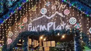 Farm Plate - Early Christmas season