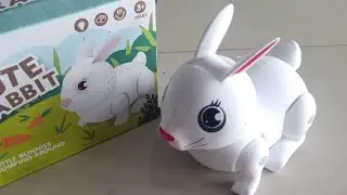 Cute Rabbit Unboxing Video #rabbit #auto #dancing #toy
