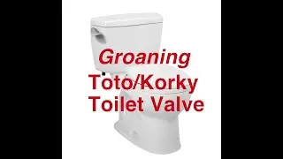 How To: Noisy Groaning/Wailing Toto/Korky Toilet Valve