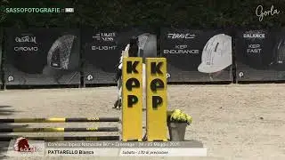 Categoria 70 cm a Gorla minore (equieffe)