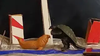 Gamera vs Maguma. Note this is not cannon in th godzilla films